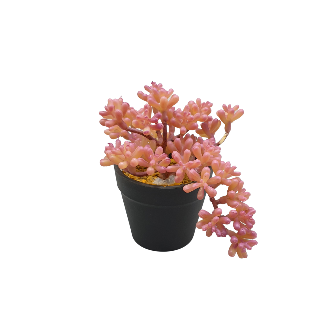 Table Planter With Black Pot – Available in 3 Designs