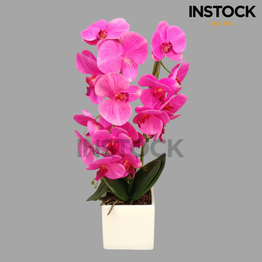 Floral Pattern Orchid Planter - Available In 2 Colors