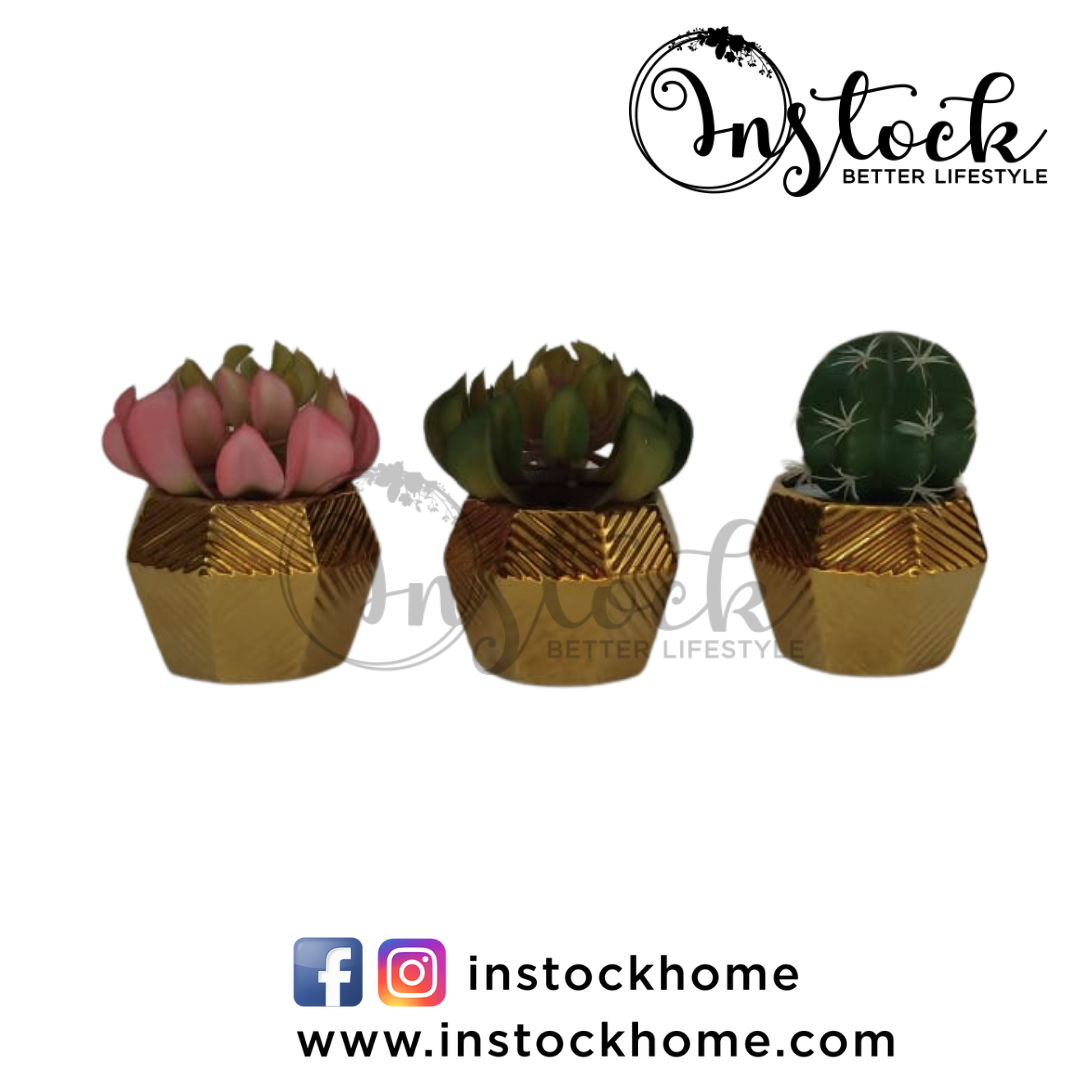 Table Planter With Golden Pot - Available in 3 Designs