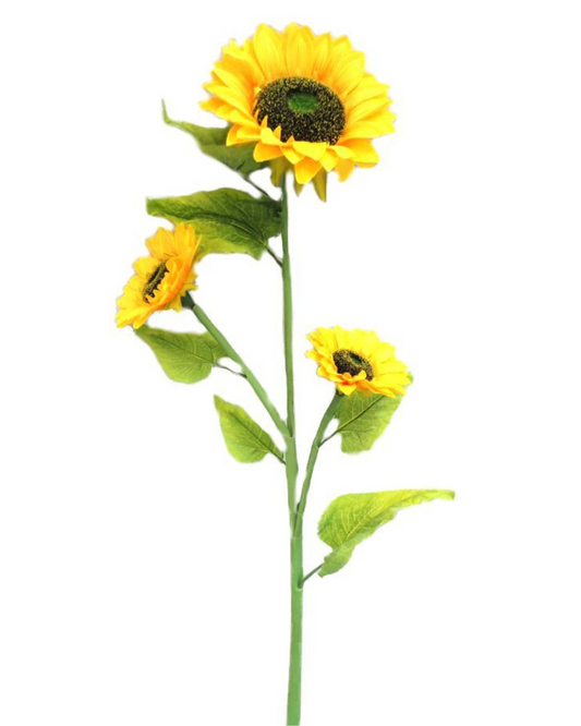 Single Stem Sunflower 3 Heads/Piece - Large